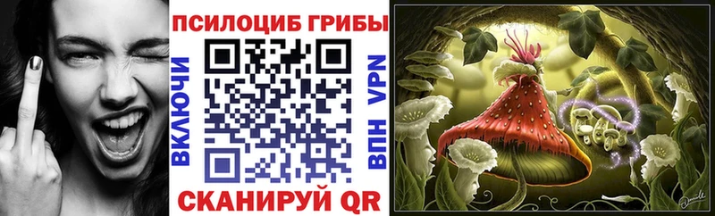 Галлюциногенные грибы Magic Shrooms  что такое   Березники 