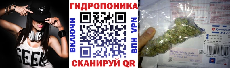 купить сайты Березники Конопля тримм